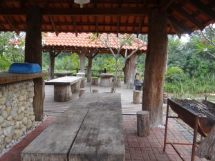 BBQ and dining area.
