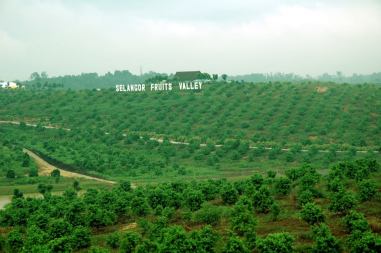 Selangor Fruits Valley - 4